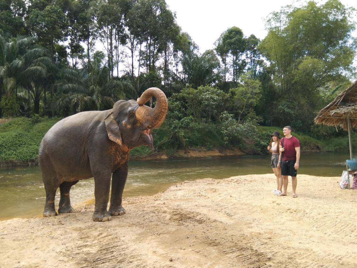 Khao Sok River & Jungle Resort Khao Sok National Park 外观 照片