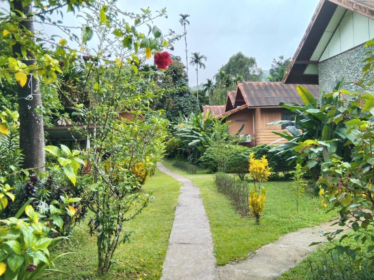 Khao Sok River & Jungle Resort Khao Sok National Park 外观 照片