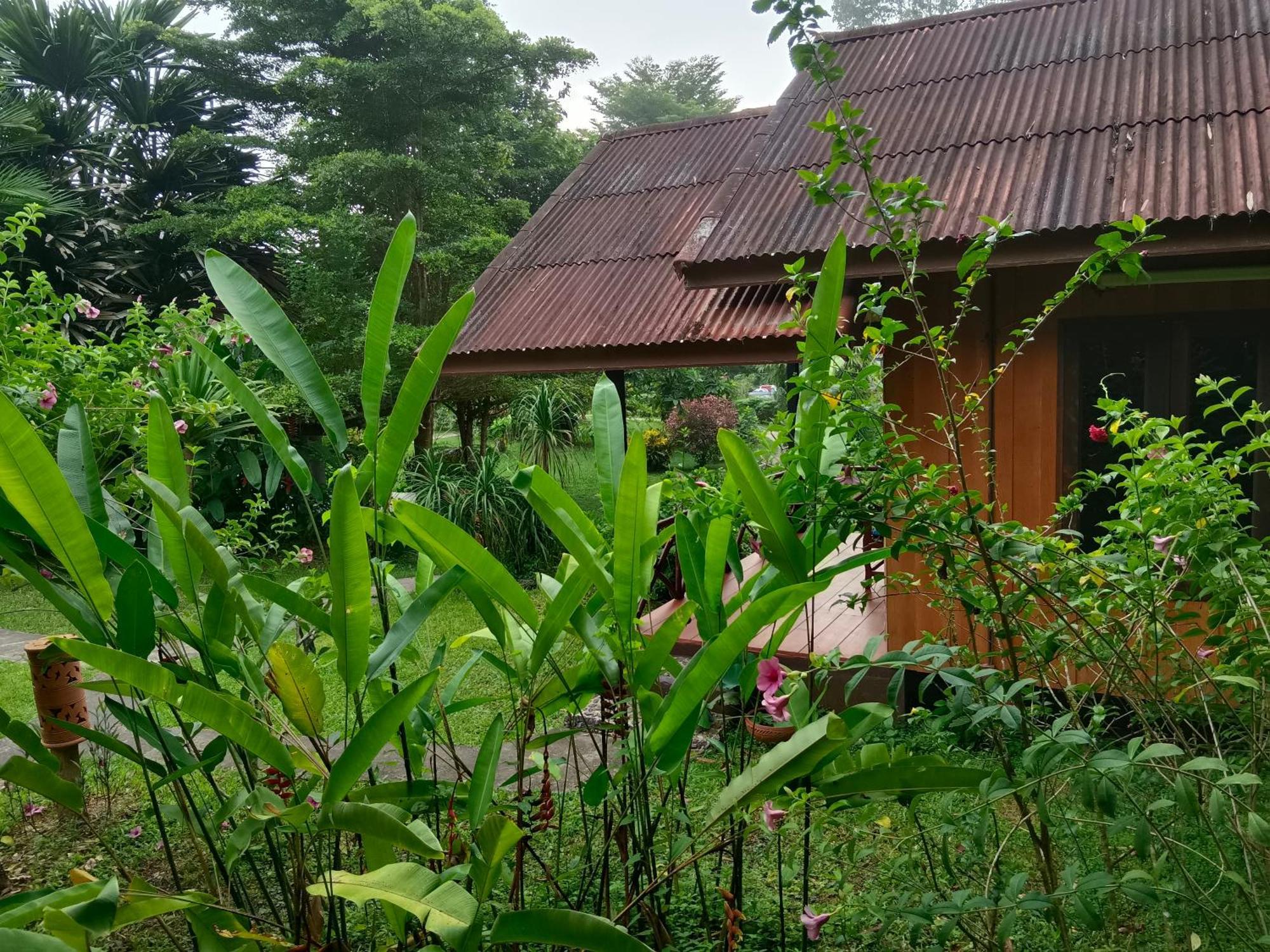 Khao Sok River & Jungle Resort Khao Sok National Park 客房 照片