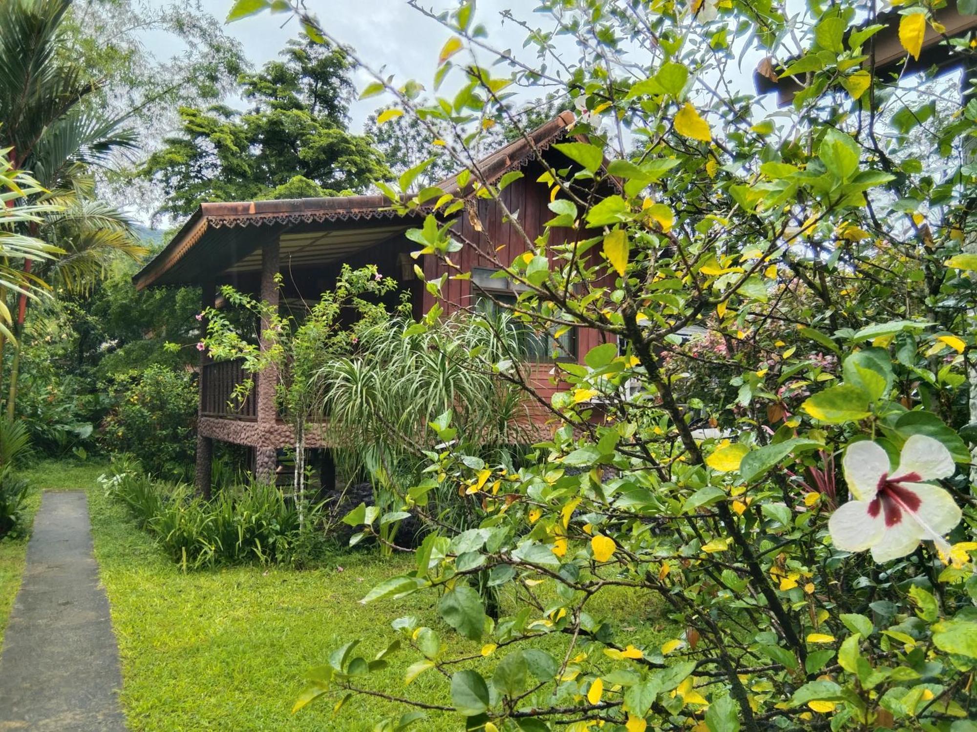 Khao Sok River & Jungle Resort Khao Sok National Park 客房 照片