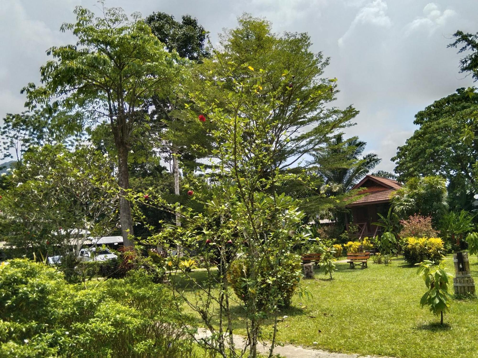 Khao Sok River & Jungle Resort Khao Sok National Park 客房 照片